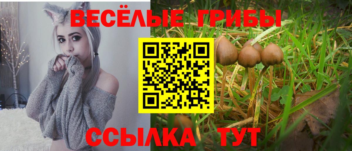 Псилоцибиновые грибы GOLDEN TEACHER Ялта